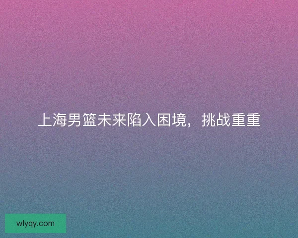 上海男篮未来陷入困境，挑战重重