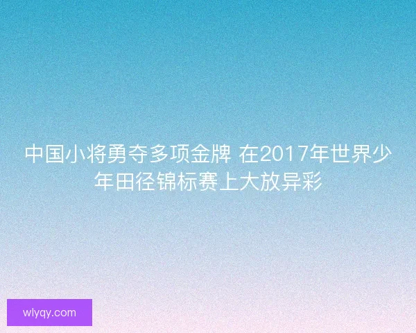 中国小将勇夺多项金牌 在2017年世界少年田径锦标赛上大放异彩