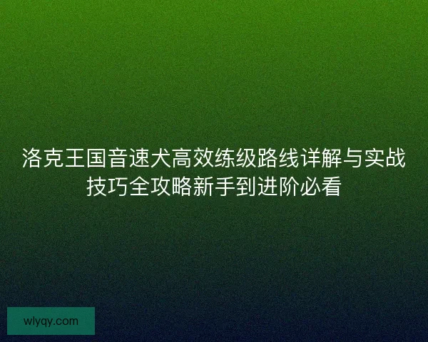 洛克王国音速犬高效练级路线详解与实战技巧全攻略新手到进阶必看